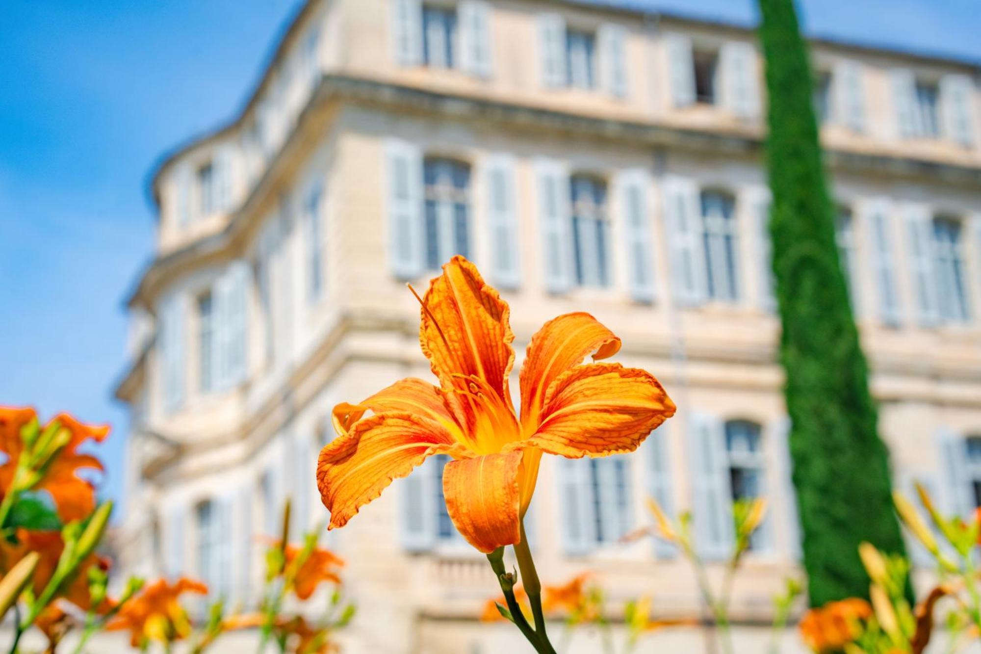 Chateau De Mazan, BW Premier Collection By Best Western Екстериор снимка
